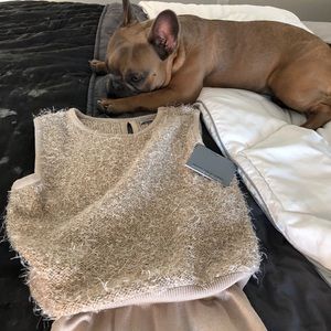 Soft Taupe Dress